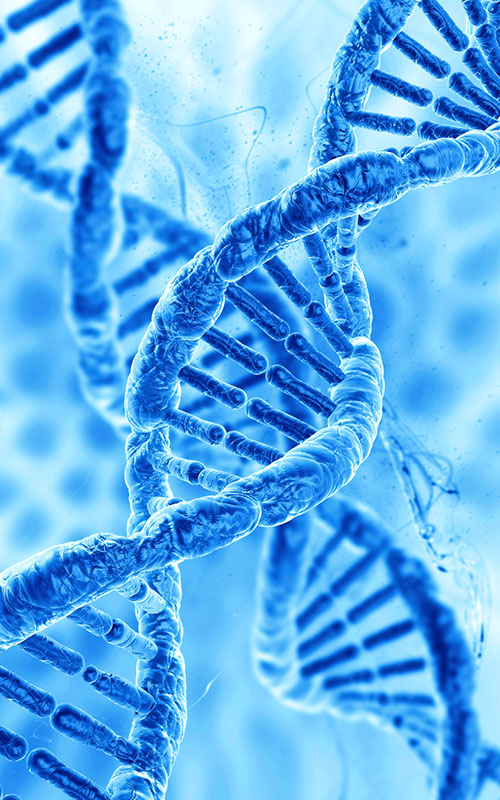 Az Anhua Bio piacra dobja a PDRN terméket: A szövetregenerációs nyersanyagok globális ellátási láncának rekonstrukciója szintetikus biológiával